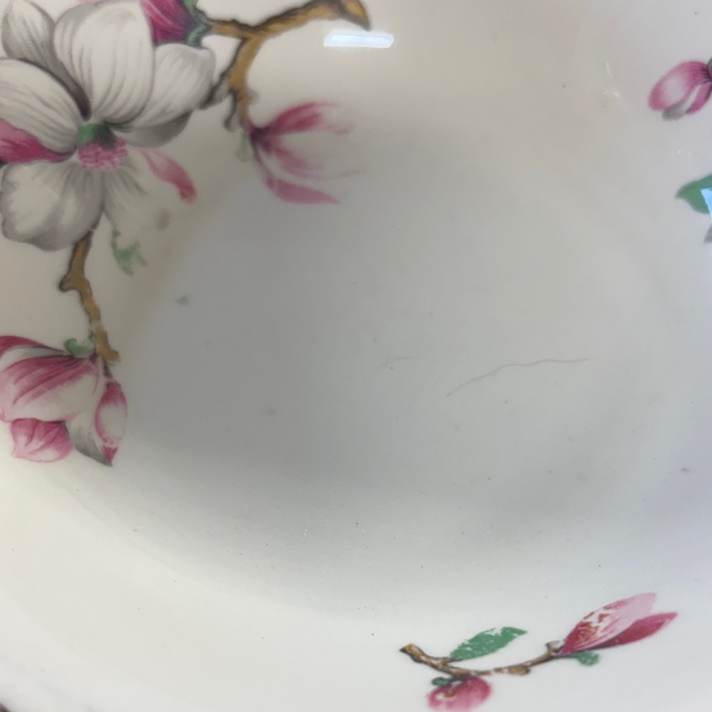 Homer Laughlin Dogwood (Liberty) Fruit/Dessert Bowls and saucers - Picture 2 of 6